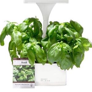 Short Stories LED Indoor Planter & Basil Seeds